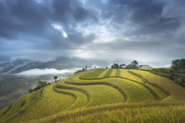 hoang su phi ha giang